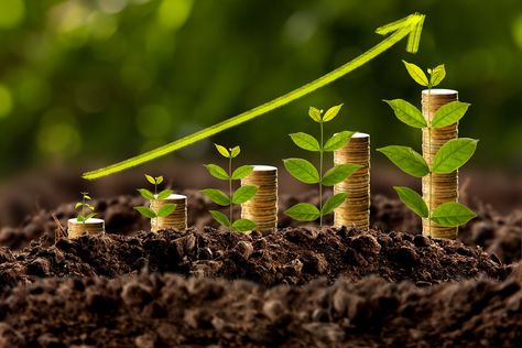 These proven dividend stocks are primed for bigger things ahead. Savings Calculator, Dividend Income, Crop Production, Trading Quotes, Buy Stocks, Dividend Stocks, Economic Times, Money Affirmations, Economic Development