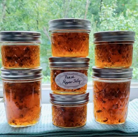 Serrano Pepper Jelly Recipe, Peach Pepper Jelly Recipe, Peach Pepper Jelly, Peach Jalapeno Jam, Jalapeno Jelly Recipes, Pepper Jelly Recipe, Jalapeno Pepper Jelly, Hot Banana Peppers, Canning Jam Recipes