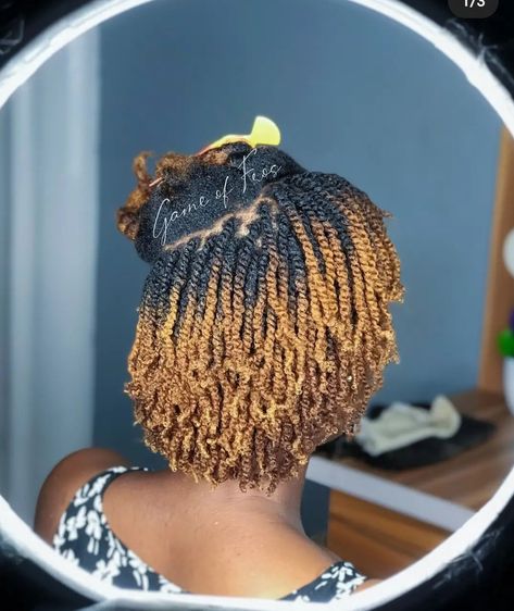 Ombre Twists, Winter Protective Styles, Loc Gel, Mini Twists Natural Hair, Ombre Twist, Marley Twist Hairstyles, Hairstyles For Natural Hair, Two Strand Twists, Protective Hairstyles For Natural Hair