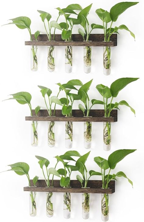 Amazon.com: Renmxj Plant Propagation Station Tubes, 3 Tiered Wall Hanging Mini Glass Test Tubes Vase Planter for Hydroponic Home Garden Office Decor, Gardening Gift for Women Plant Lover - Brown : Patio, Lawn & Garden Plant Propagation Station, Porch Kitchen, Test Tube Vase, Hanging Terrarium, Propagation Station, Gardening Gifts, Plant Propagation, Test Tubes, Glass Planter