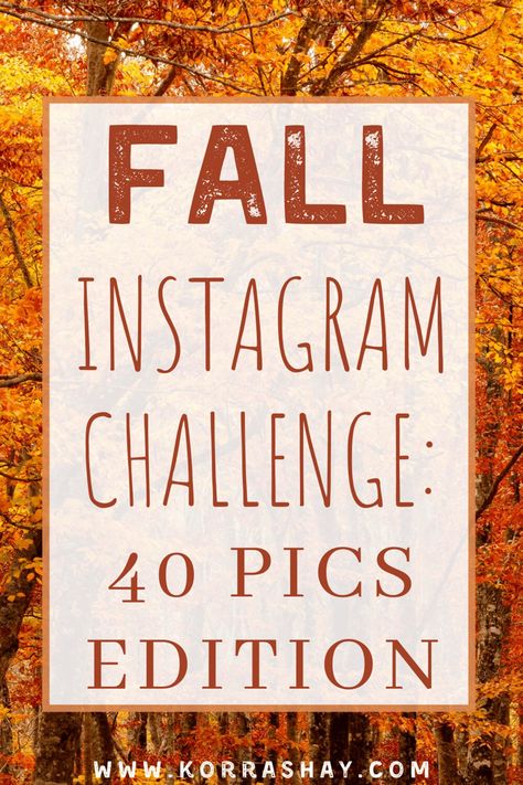 Fall Instagram challenge: 40 pics edition! Fall picture ideas! 40 pictures you should take this fall for the perfect fall instagram challenge. Fall photoshoot ideas that are so cute! #fall #fallpics #instagram #instagramideas #photoshoot Fall Photoshoot Challenge, Fall Instagram Photo Ideas, Fall Instagram Pictures Ideas, Fall Instagram Ideas, Fall Selfie Ideas, Fall Picture Ideas For Instagram, November Photoshoot Ideas, Thanksgiving Pictures Ideas, Fall Photo Challenge