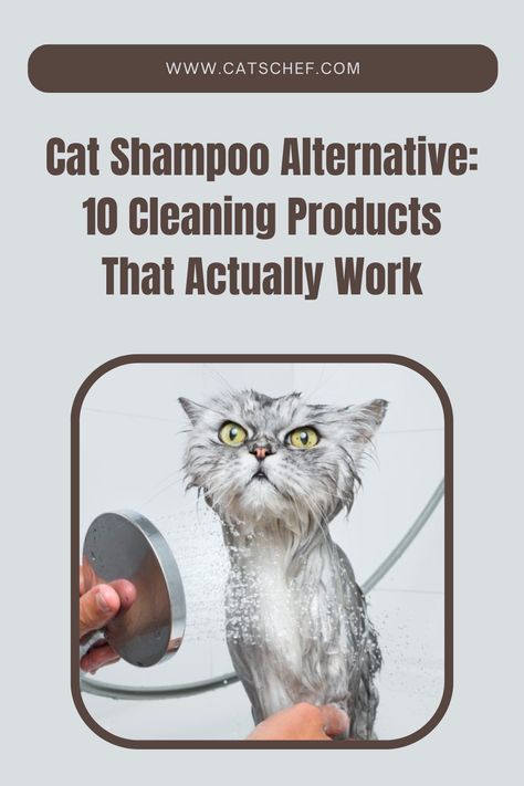 As a proud pet parent, there’s hardly a commercially available cleaning product that hasn’t caught your eye. But with how busy you are, there are times when you forget to put a decent cat shampoo in your shopping basket. “Wouldn’t a cat shampoo alternative do the same thing, though?”


#catschef #cat #cats #kitten #kittens #catlover #catlovers #catlife #catoftheday #meow #pets #cute #love #animals #animallovers #kitty #kittycat #persiancat #mainecoon Shampoo Alternative, Cat Shampoo, Pets Cute, Love Animals, Got Your Back, Persian Cat, Cat Care, Shopping Basket, Maine Coon