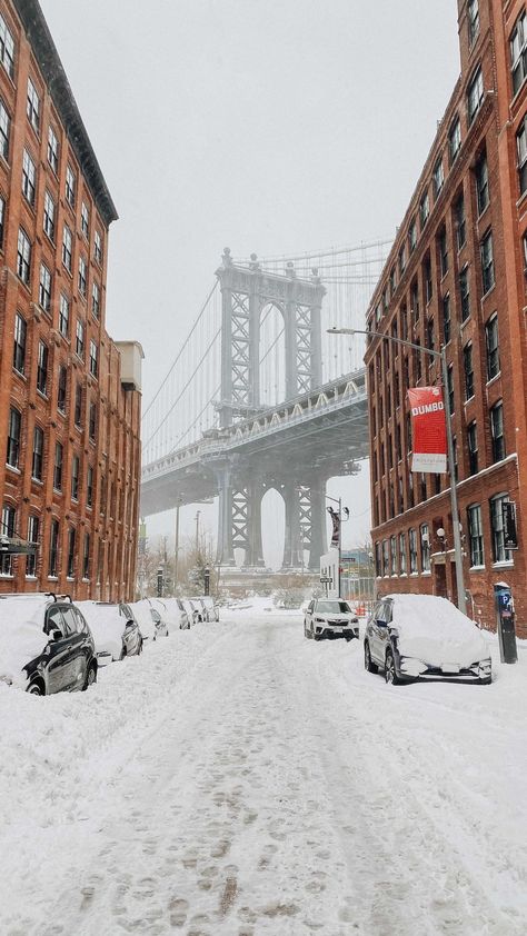 adelaidechantilly on Instagram: Snow day in Dumbo, Brooklyn ❄️ . . . . #nyc #nycsnowstorm #2021snowstorm #snowday #dumbo #dumbobrooklyn #nycphotographer… Snow Nyc, Dumbo New York, Nyc Snow, New York Snow, January Wallpaper, New York City Christmas, Dumbo Brooklyn, City Christmas, New York Winter