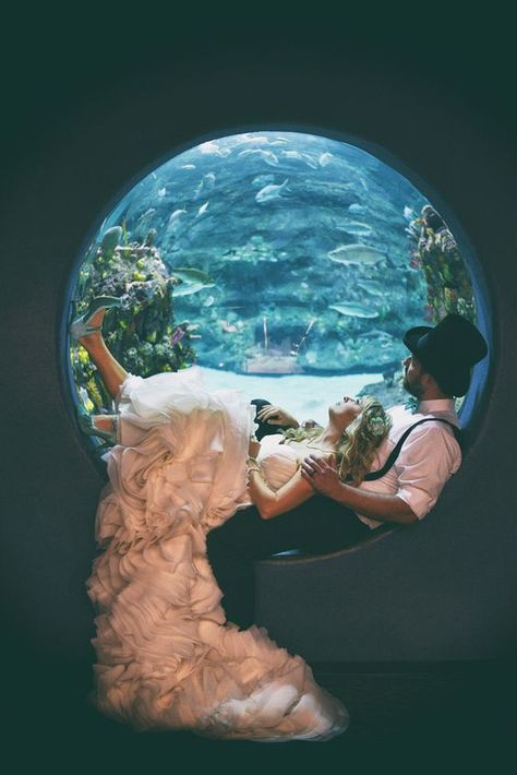 Aquarium Portrait, Aquarium Photoshoot, Aquarium Wedding Reception, Bubble Window, Underwater Wedding, Aquarium Pictures, Aquarium Wedding, Sea Wedding, Ocean Wedding