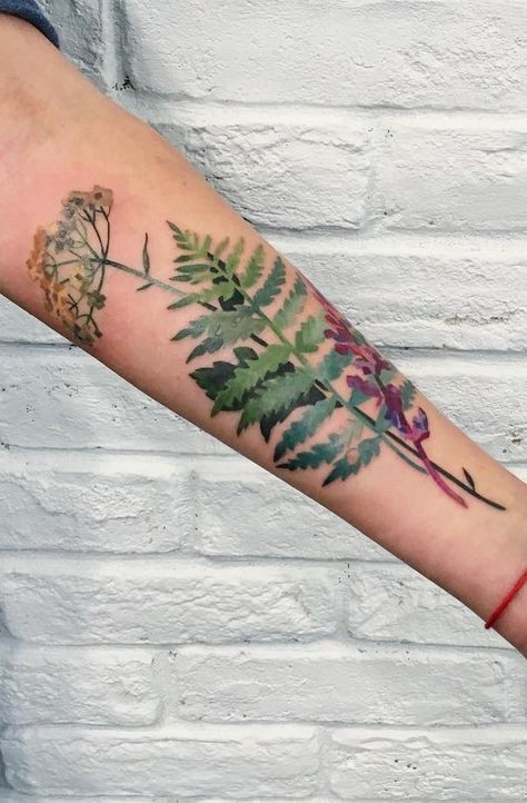 Sage, Fern, and Anise Flower Tattoos Like and Repin. Thx Noelito Flow. http://www.instagram.com/noelitoflow Watercolor Dragonfly Tattoo, Blatt Tattoos, Botanisches Tattoo, Fern Tattoo, Watercolor Dragonfly, Tattoo Trend, Fern Frond, Omerta Tattoo, Back Of Shoulder Tattoo