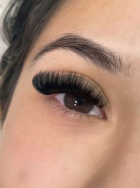 D Curl Lash Extensions Volume, D Curl Volume Lashes, D Curl Lashes Extensions, Mega Eyelash Extensions, Mega Volume Lash Extensions Mapping, Mega Lash Extensions, Full Lash Extensions, D Curl Lash Extensions, Lashes Mega Volume