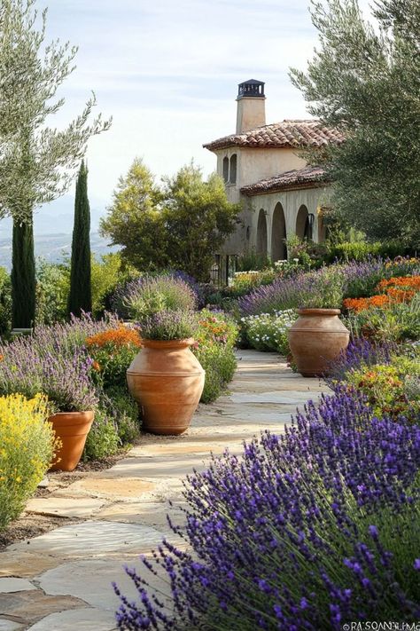 Mediterranean Garden Plants Selection is a beautiful and eco-friendly choice for any garden! 🌿🌞 Choose from a variety of drought-tolerant plants that thrive in warm climates, offering a stunning and sustainable way to enhance your outdoor spaces. Low-maintenance and full of Mediterranean charm, these plants are perfect for creating a serene and inviting environment. Cultivate Mediterranean beauty today! 🌺🌵 #MediterraneanPlants #EcoFriendlyLiving #GardenDesign #OutdoorBeauty Sustainable Garden Design, Mediterranean Beauty, Mediterranean Gardens, Mediterranean Garden Design, Mediterranean Landscaping, Beautiful Patios, Italian Garden, Outdoor Gardens Design, Mediterranean Garden