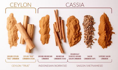 All About Cinnamon - Types, Flavors & Uses | Savory Spice Cinnamon Herb, Cinnamon Incense Meaning, Types Of Cinnamon, Ceylon Cinnamon Benefits, What Does Cinnamon Do In Witchcraft, Magical Properties Of Cinnamon, Cinnamon Health Benefits, Saigon Cinnamon, Cinnamon Benefits