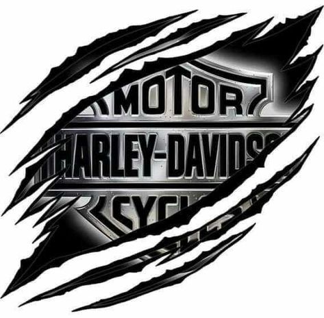 Harley Davidson Decals, Motorcycles Logo Design, Harley Davidson Decor, Harley Tattoos, Harley Davidson Crafts, Dagobert Duck, Harley Davidson Images, Мотоциклы Harley Davidson, Harley Davidson Tattoos