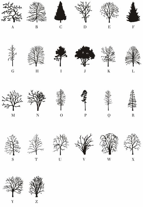 The plants are speaking. Time to read what they have to say. A tree font: http://www.atlasobscura.com/articles/the-book-about-trees-printed-on-trees-in-trees?utm_source=facebook.com&utm_medium=atlas-page Tiny Tree Tattoo, Kunst Tattoos, Geometric Nature, Tree Sketches, Tree Drawing, Tattoo Trends, Nature Tattoos, Tree Tattoo, Tree Leaves