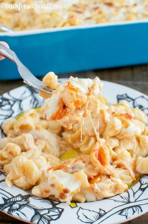 Small Shell Pasta Recipes, Alfredo Recipes For Dinner, Buffalo Chicken Alfredo, Easy Chicken Fettuccine Alfredo, Simple Chicken Alfredo Recipe, Homemade Chicken Alfredo, Alfredo Recipes, Shell Pasta Recipes, Alfredo Bake