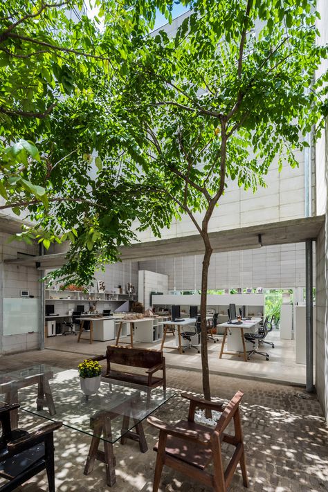 Tropical Office, Indoor Landscape, Autoclaved Aerated Concrete, Mini Forest, Industrial Cafe, Food Factory, Pocket Park, Office Pictures, Internal Courtyard