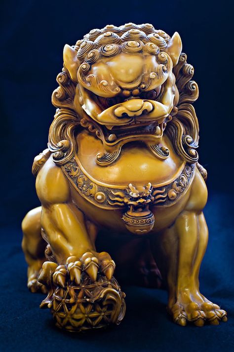 fu dog - Google Search Japanese Foo Dog, Foo Dog Tattoo Design, Buda Wallpaper, Foo Dog Tattoo, Japanese Dog, Chinese Dog, Foo Dog Statue, Lion Statue, Statue Tattoo