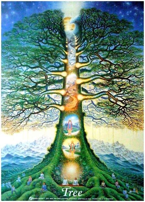 Boom Kunst, Frida Art, Tree Of Life Art, Spiritual Artwork, Soyut Sanat Tabloları, Les Chakras, The Tree Of Life, Garden Of Eden, Visionary Art