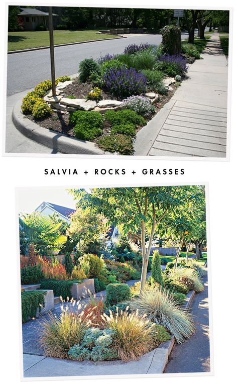 Salvia & Rocks & Grasses on the Hellstrip Boulevard Garden, Sidewalk Landscaping, Drought Tolerant Landscape, Front Landscaping, Landscape Plans, Home Landscaping, Front Yard Garden, Front Yard Landscaping Design, Front Garden