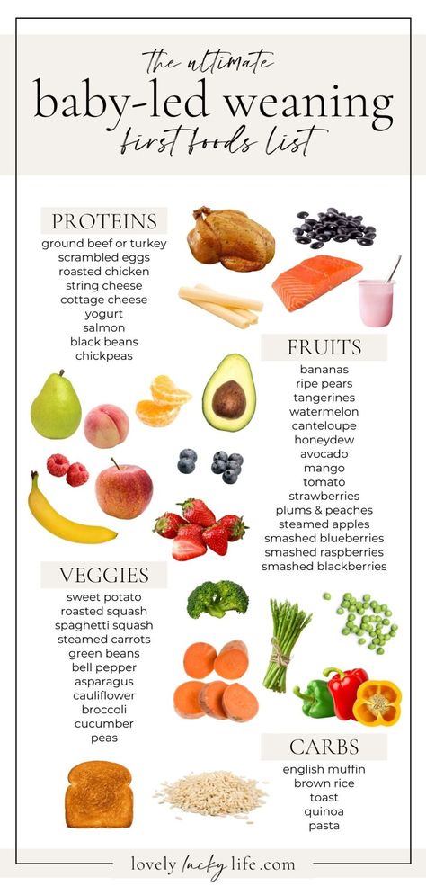 All the 411 on Baby Led Weaning Led Weaning First Foods, Baby Weaning Foods, Baby Led Weaning First Foods, Weaning Foods, Baby Led Feeding, First Foods, Easy Baby Food Recipes, Baby Led Weaning Recipes, Healthy Baby Food