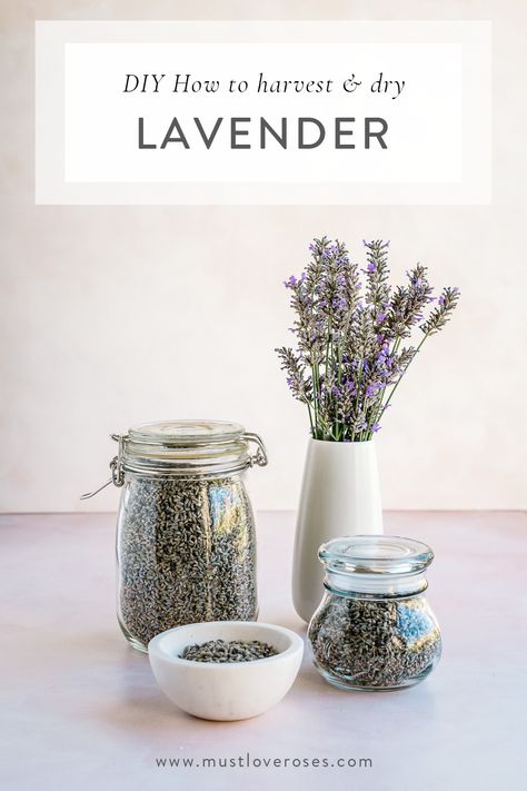 How To Store Lavender, Lavender Cuttings, Lavender Gift Ideas, What To Do With Dry Lavender, Dry Lavender Uses, How To Preserve Lavender, Crafts With Lavender, How To Store Dried Lavender, Dry Lavender Diy