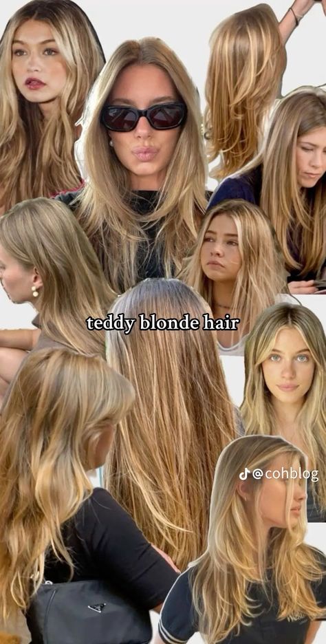 Blonde Hair Gold Jewelry Aesthetic, Summer Heyward Dilaurentis, Dyed Dark Blonde Hair, Old Money Hair Color Ideas, Teddy Altman Hair, 90s Dirty Blonde Hair, Candace Cameron Hair, Different Types Of Blonde Highlights, Madelyn Cline Hair Color