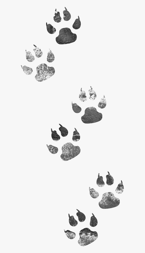 Paw Sketch, Dog Paw Drawing, Cat Paw Tattoos, Tiger Paw Print, Paw Print Art, Best Leg Tattoos, Paw Drawing, Typographic Poster Design, Animal Footprints