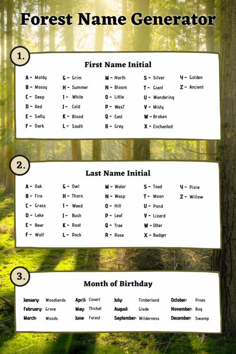 Forest Name Ideas, Forest Names, Book Title Generator, Names Nature, Village Names, Character Name Generator, Nature Village, List Of Adjectives, Mystical Names