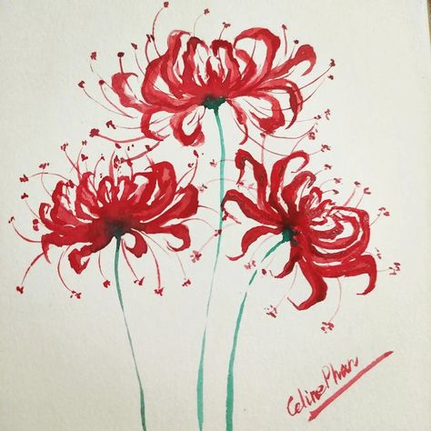 Spiderlily Drawing Sketches, Spider Lily Flower Drawing, How To Draw Spider Lily, Red Spider Lily Painting, Spider Lilies Drawing, Spider Lily Painting, Red Spider Lily Drawing, Spider Lily Drawing, Spider Lilies