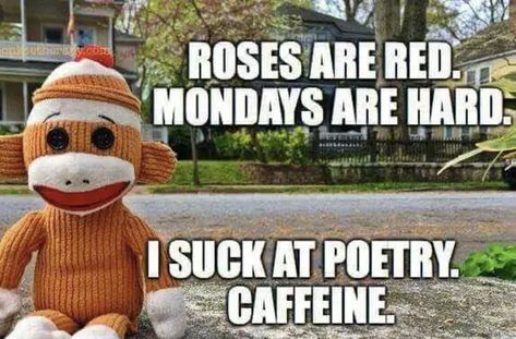 90+ Funny Monday Coffee Meme & Images to Make You Laugh Monday Coffee Meme, Monday Sucks, Monday Coffee, Coffee Meme, Monday Memes, Monday Humor, What Day Is It, Work Memes, Sock Monkey