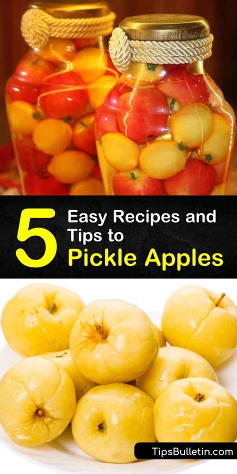 Pickled Apples Recipe, Crab Apple Recipes, Pickled Pears, Pickled Apples, Pickled Fruit, Canning Apples, Preserving Vegetables, Winter Veggies, Quick Pickled