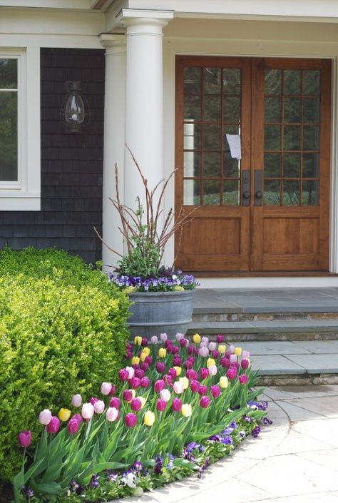 Love the display - the rounded edge and use of height.  I'm also pinning to remind myself that I don't care for the tulip mixes.  Stick with monochromatic Tulpen Arrangements, Tulips Arrangement, Walkway Landscaping, Pathway Landscaping, Tulips Garden, Front Yard Garden, House Landscape, Front Yard Landscaping Design, Spring Garden