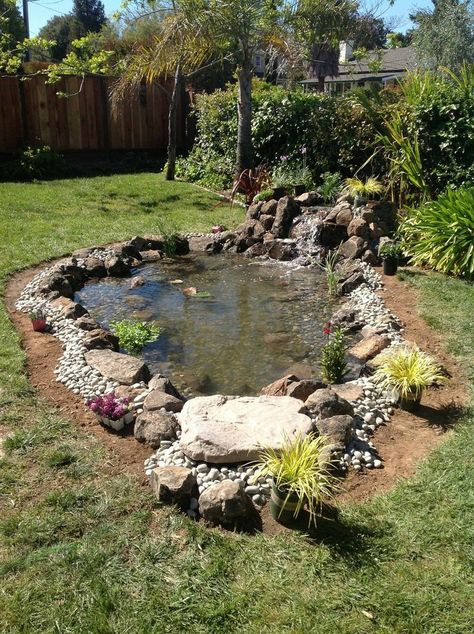 Ecosystem Pond, Fish Pond Gardens, Kolam Koi, Garden Pond Design, Outdoor Ponds, Diy Pond, Small Pond, Pond Waterfall, Pond Landscaping