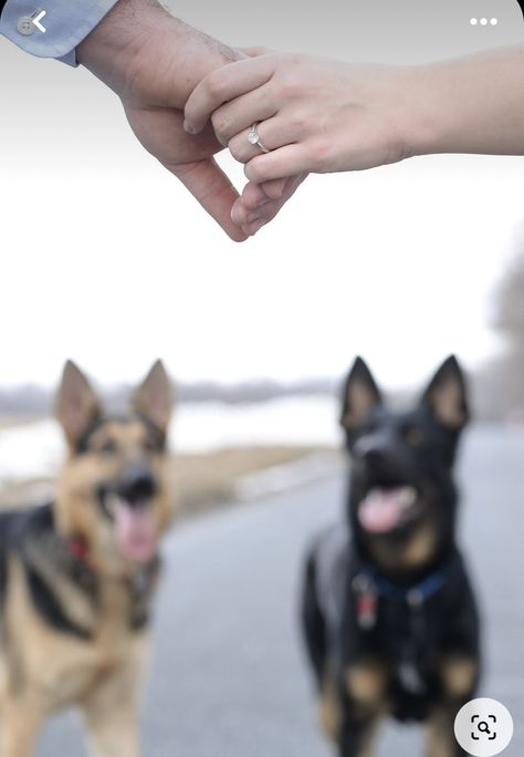 Couple Photoshoot With Dog, Dog Wedding Photos, Photoshoot With Dog, Engagement Photo Shoot Beach, Diy Photoshoot, Engagement Shoots Poses, Engagement Announcements, Country Engagement Pictures, Engagement Announcement Photos