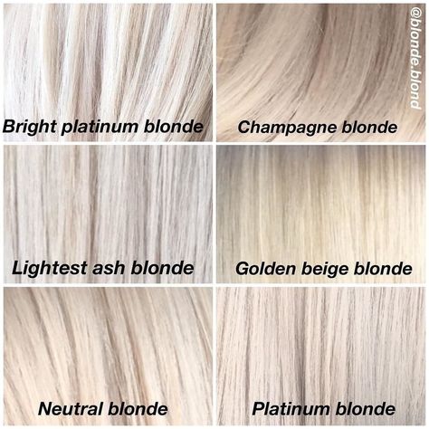 Icy Champagne Blonde Hair, Champagne Blonde Hair Balayage, Champagne Blonde Hair Color, Blond Cenușiu, Shades Of Blonde Hair, Champagne Blond, Beige Blonde Hair Color, Blonde Hair Color Chart, Hair Chart