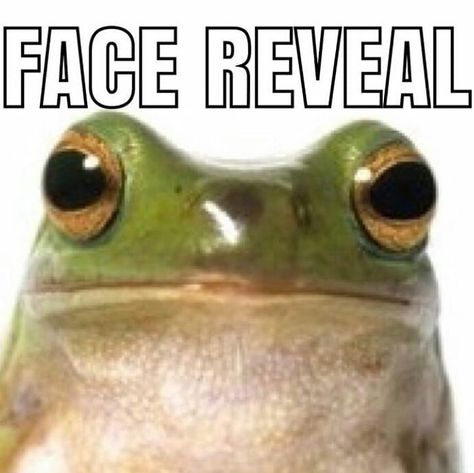 Frog Meme, Frog Pictures, Meme Page, Face Reveal, Silly Pictures, Cute Frogs, About Time, Meme Faces, Really Funny Pictures