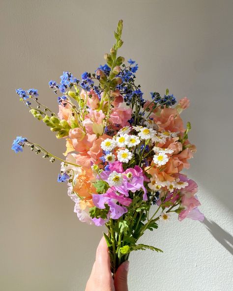 I’ve been a little frazzled all summer but at least I have pretty flowers to show for it 🌸👒☀️🐚🎀 Wild Flowers Aesthetic, Summer Flowers Wedding, Wild Flowers Bouquet, Daisy Bouquets, Pretty Bouquets, August Flowers, Summer Wedding Ideas, Flowers For Wedding, Boquette Flowers