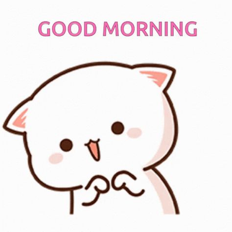 Peachcat Good Morning GIF - PEACHCAT Good Morning - Discover & Share GIFs Mochi Cats, Calin Gif, Good Morning Meme, Cute Good Morning Gif, Good Morning Cat, Morning Cat, Bff Quotes Funny, Good Morning Animation, Good Morning Beautiful Pictures