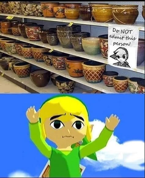 Link Meme, Legend Of Zelda Memes, Zelda Funny, Game Zone, Video Game Memes, Link Zelda, Zelda Art, Legend Of Zelda Breath, Twilight Princess