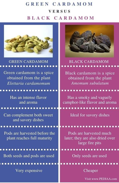 Ancestral Eating, Black Cardamom, Green Cardamom, Spices Packaging, Magickal Herbs, Large Fire Pit, Eastern Cuisine, What Is The Difference Between, Vegetarian Cooking