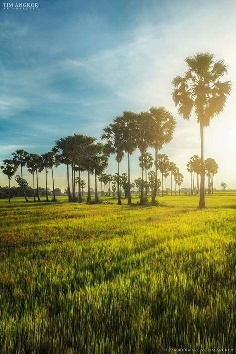 Cambodia Landscape, Farm Moodboard, Cambodia Aesthetic, Fb Profile Photo, Fb Profile, Cambodia Travel, Countryside Landscape, Science Projects For Kids, Anime Head