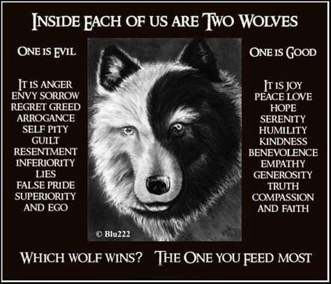 Which Wolf Wins?  The One You Feed Most.   #Iam4Humankind The One You Feed, Native American Wisdom, American Quotes, Two Wolves, Native American Quotes, American Story, Wolf Quotes, Self Pity, Wolf Spirit