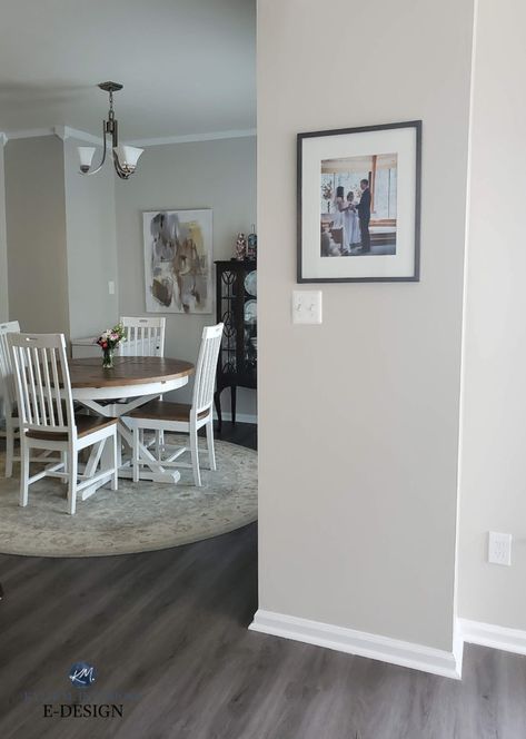 Kylie M Interiors Sherwin Williams, Greige Modern Living Room, Sw Modern Gray Exterior, Sw Modern Gray Walls, Modern Wall Colors Paint, Sherwin Williams Modern Gray Living Room, White Wall Gray Floor, Gray Taupe Paint Colors, Best Wall Colour For Grey Floor