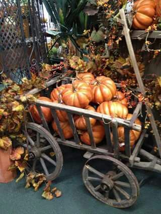 Pumpkin Cart, Pumpkin Wagon, Goat Cart, Wheelbarrows, Wooden Wagon, Garden Cart, Primitive Fall, Fall Deco, Autumn Decorating