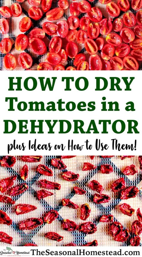 Storing Tomatoes, Dehydrate Tomatoes, Dehydrating Tomatoes, Dehydrated Tomatoes, Homesteading Inspiration, Make Sun Dried Tomatoes, Homesteading Hacks, Dehydrating Food Storage, Root Cellars