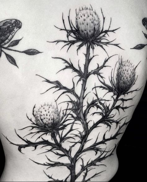 Botanical Blackwork Tattoo, Thistle Flower Tattoo, Positivity Tattoo, Thistle Tattoo, Magic Runes, Plant Tattoo, Botanical Tattoo, Tattoo Project, Line Work Tattoo