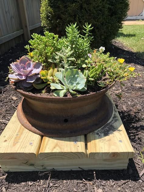 Tire rim planter for succulents Tire Rims Projects, Tire Upcycling, Repurposed Tires, Tire Garden, Front Yard Decor, Tire Planters, Fire Pit Landscaping, Succulent Garden Design, Succulent Landscaping