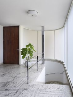 Tour an Ultramodern 1930 Villa by Mies van der Rohe | The Study Mis Van Der Rohe, Tugendhat House, Villa Tugendhat, Simple Bedroom Design, Design Villa, Travertine Floors, Ludwig Mies Van Der Rohe, Steel Columns, Foyer Decorating