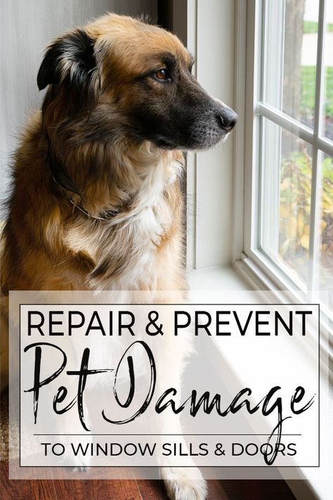 How to repair and prevent pet damage to wood window sills and doors. This DIY tutorial will walk you through the process and show you a unique product that will prevent future damage. #pet #repair #wood #pets #dog #puppy #animal #ilovemydog #lovedogs Diy Window Sill, Wood Window Sill, Puppy Diy, Diy Porch Decor, Dog Window, Scratched Wood, Modern Farmhouse Diy, Diy Window Treatments, Wood Repair