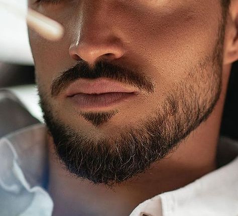 Mans Hair Cut, Mens Hair Cut, Haircut With Beard, Modern Beard Styles, Hairstyle With Braids, Haircut And Beard, Haircut Mens, Haircut Tips, Hair 2024