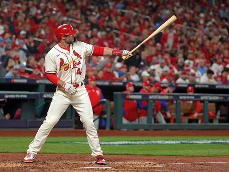 19 St Louis Cardinals Trivia Facts - Facts.net Rogers Hornsby, Cardinals Players, Cardinals Game, Baseball Party, Cardinals Baseball, The Outfield, Mlb Teams, Baseball Fan, National League