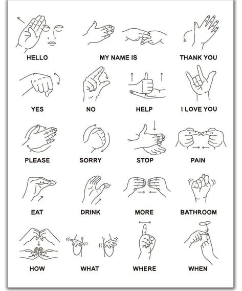 Sight Language Alphabet, Basic Sign Language For Beginners, Asl For Beginners, Asl Basics, Basic Asl, Quinceanera Songs, Asl Songs, Learning Sign Language, Makaton Signs