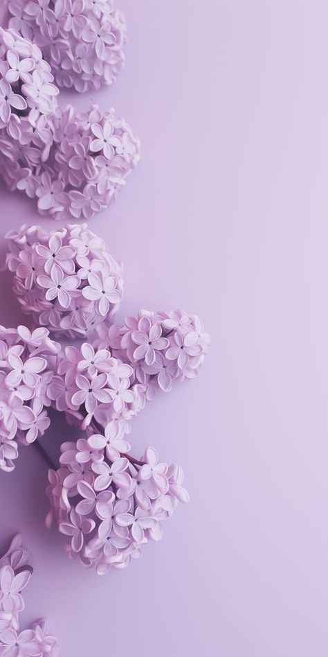 Lila Aesthetic, Light Purple Wallpaper, Light Purple Background, Purple Aesthetic Background, Pastel Purple, Purple Backgrounds, Purple Wallpaper, Purple Aesthetic, Photo Background