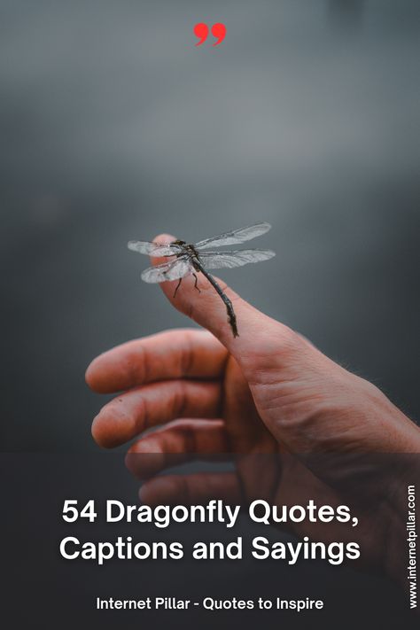 54 Dragonfly Quotes Dragon Fly Quotes Inspiration, Dragonfly Quotes Strength, Dragonfly Quotes Angels, Dragonfly Sayings Quotes, Quotes About Dragonflies, Dragonfly Quotes Inspiration Sayings, Dragonfly Quotes Inspiration, Dragonflies Quotes, Dragonfly Sayings